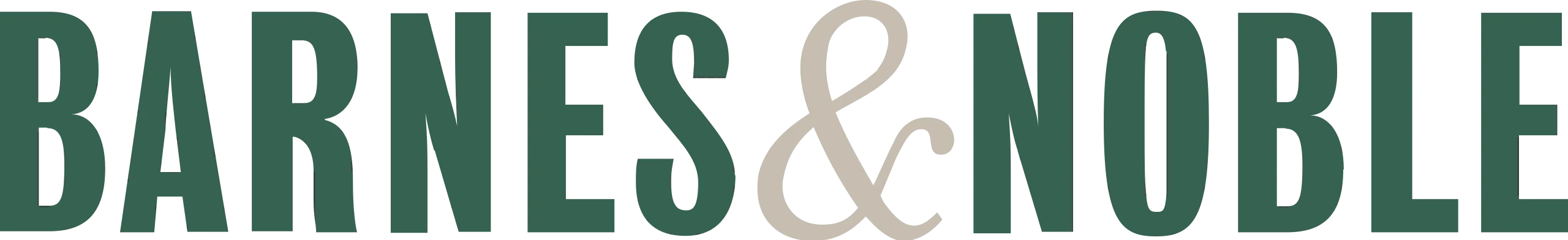 Barnes & Noble flag